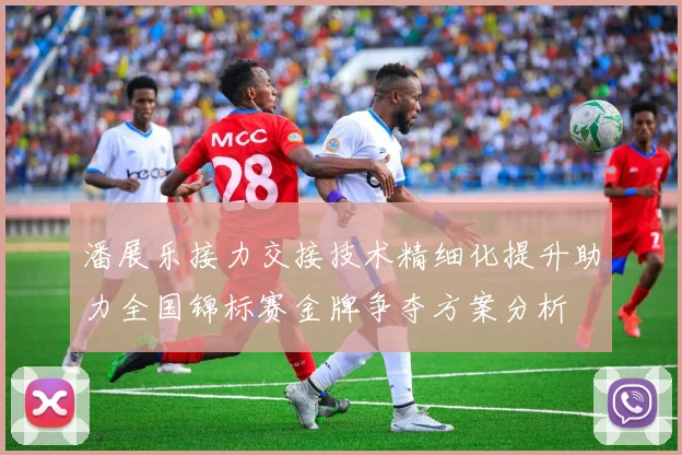 潘展乐接力交接技术精细化提升助力全国锦标赛金牌争夺方案分析