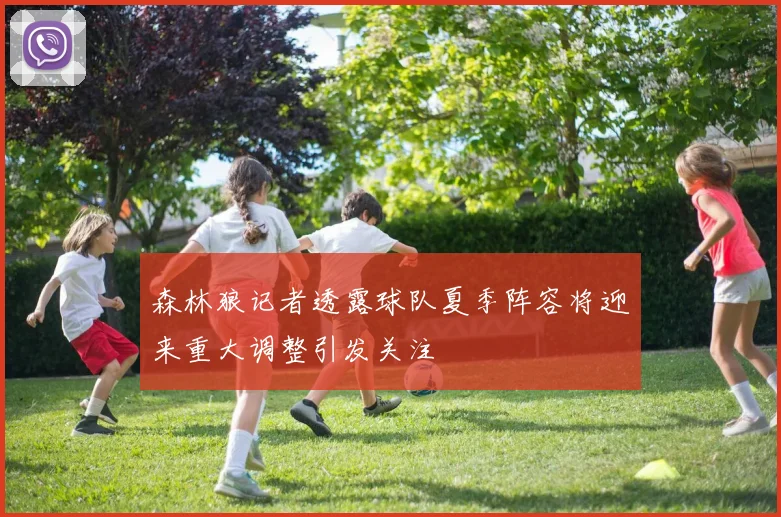 森林狼记者透露球队夏季阵容将迎来重大调整引发关注
